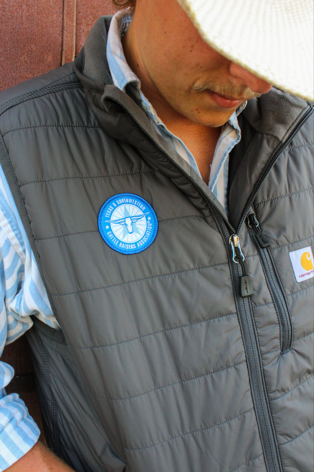 Carhartt Gillam Vest